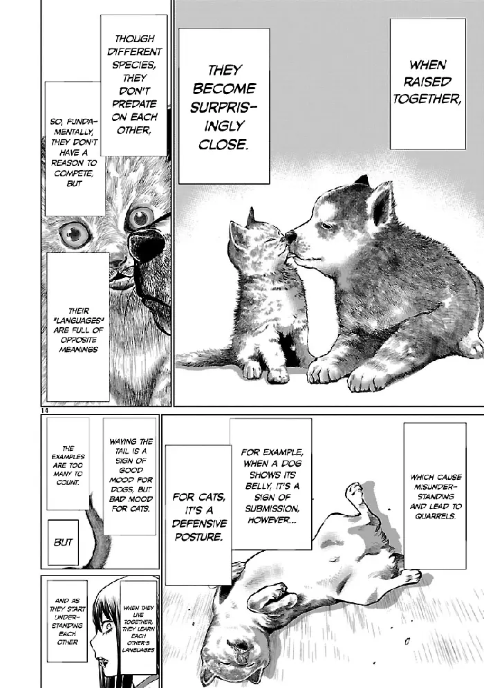 Killing Bites Chapter 39 image 14_optimized